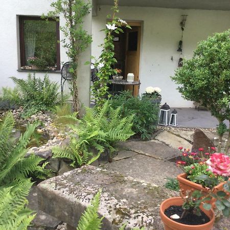 Ferienwohnung Schug 洪堡 外观 照片