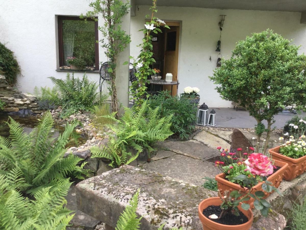 Ferienwohnung Schug 洪堡 外观 照片